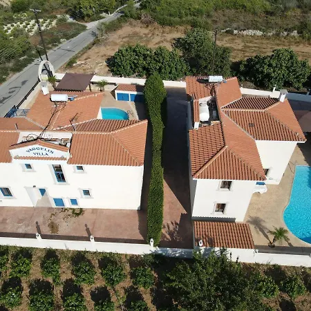 Vaggelis * Paphos